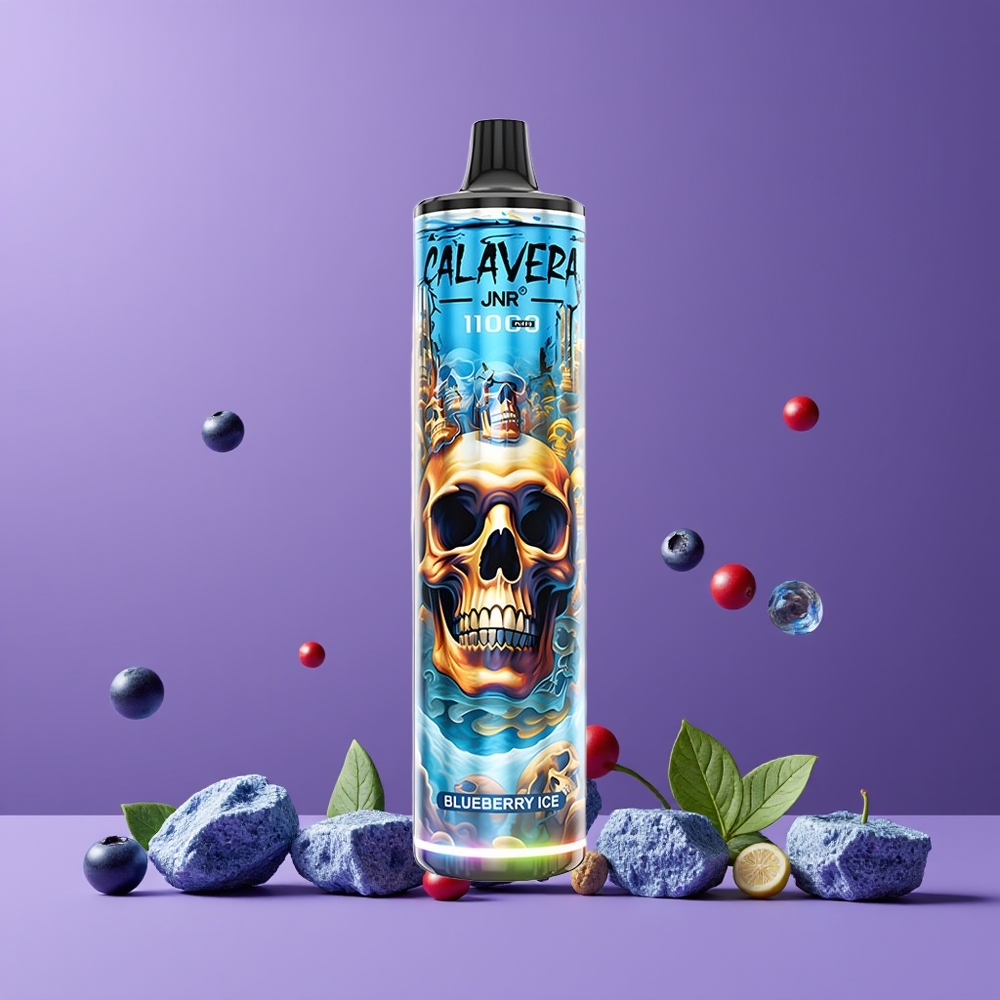 JNR Calavera 11000 Nagykereskedés Magyarország 21ml Type-C Áfonya Jég