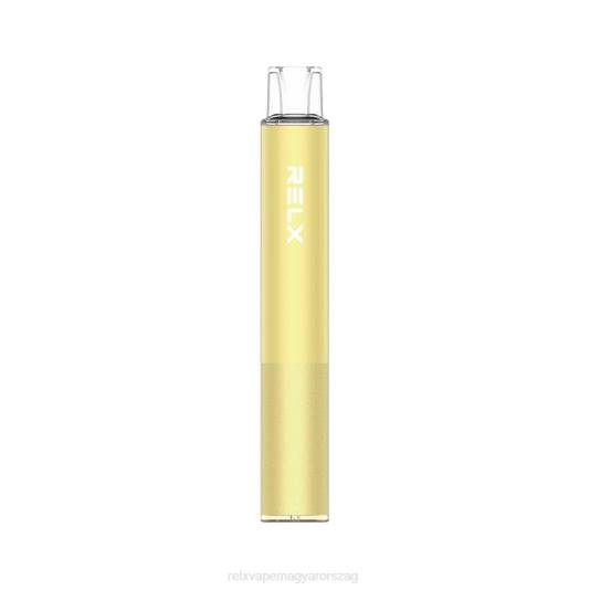 RELX MagicGo ga600 - RELX Vape Magyarország áfonyás fröccs 6P0243