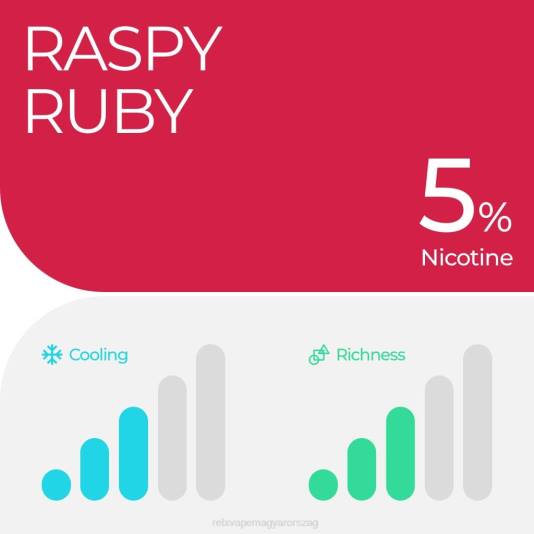 RELX pod pro - 2 hüvely - RELX Store rubin málna 6P029